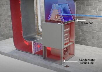 24 Hour Heating and Air: The Cost of Neglecting Your Condensate Drain Lines