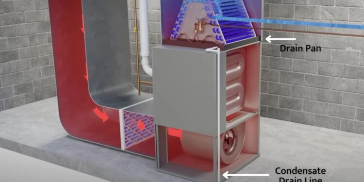 24 Hour Heating and Air: The Cost of Neglecting Your Condensate Drain Lines