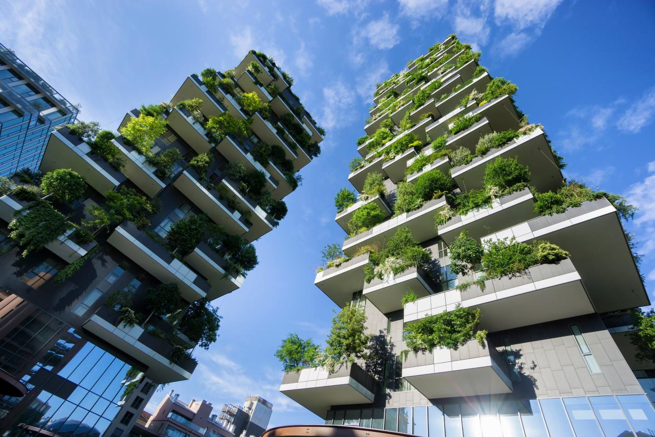 What Is Green Architecture? How It Informs Modern Sustainability