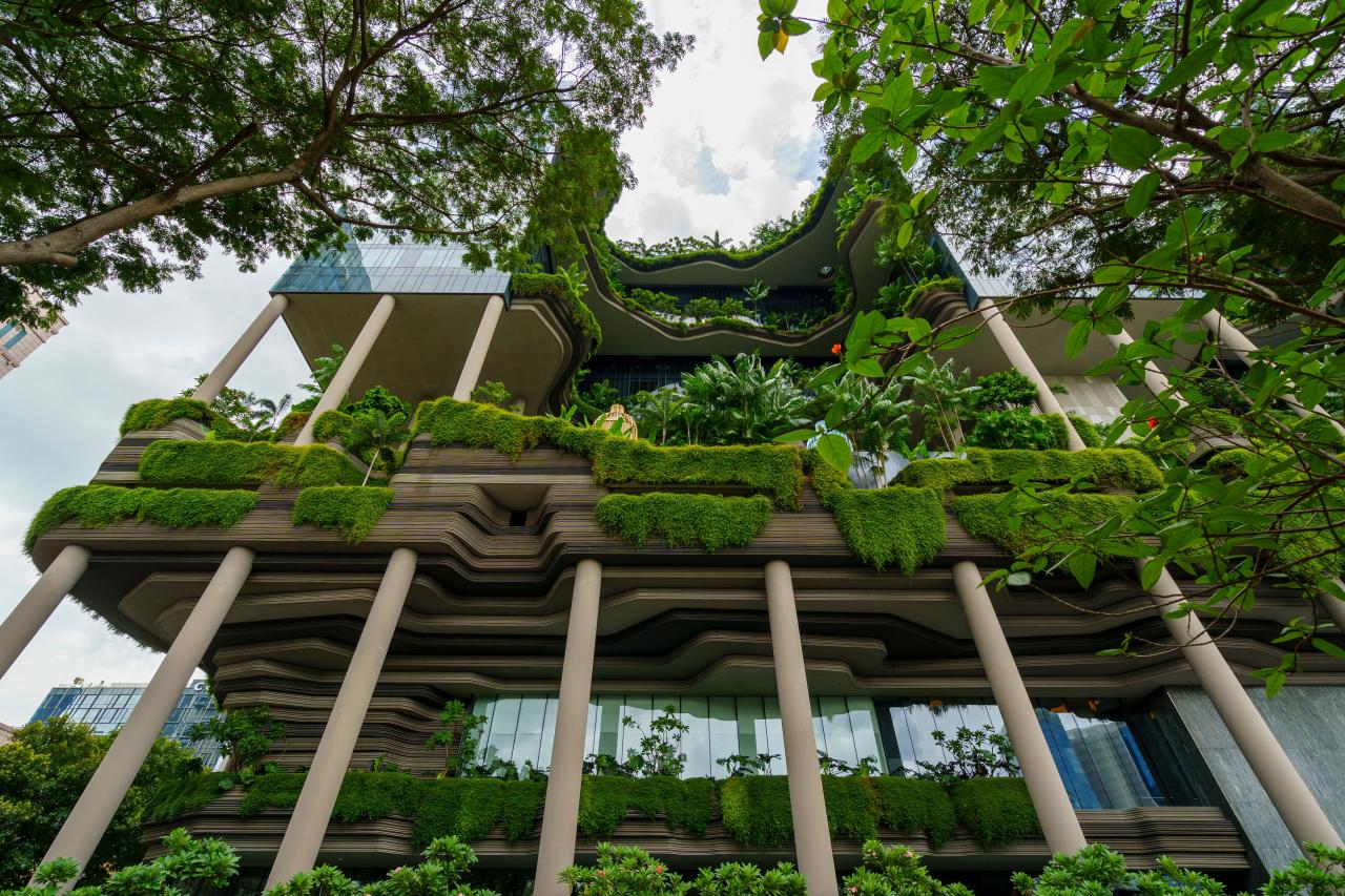 Sustainable Architect Designs for a Greener Tomorrow Ahead